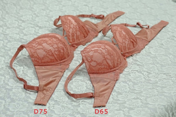 D65とD75の比較